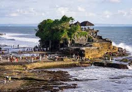 6 GECE MUHTEŞEM BALİ TURU