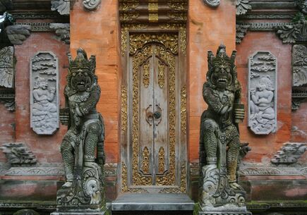 6 GECE MUHTEŞEM BALİ TURU