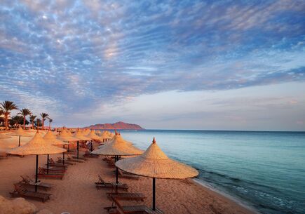 6 GECE MUHTEŞEM BALİ TURU