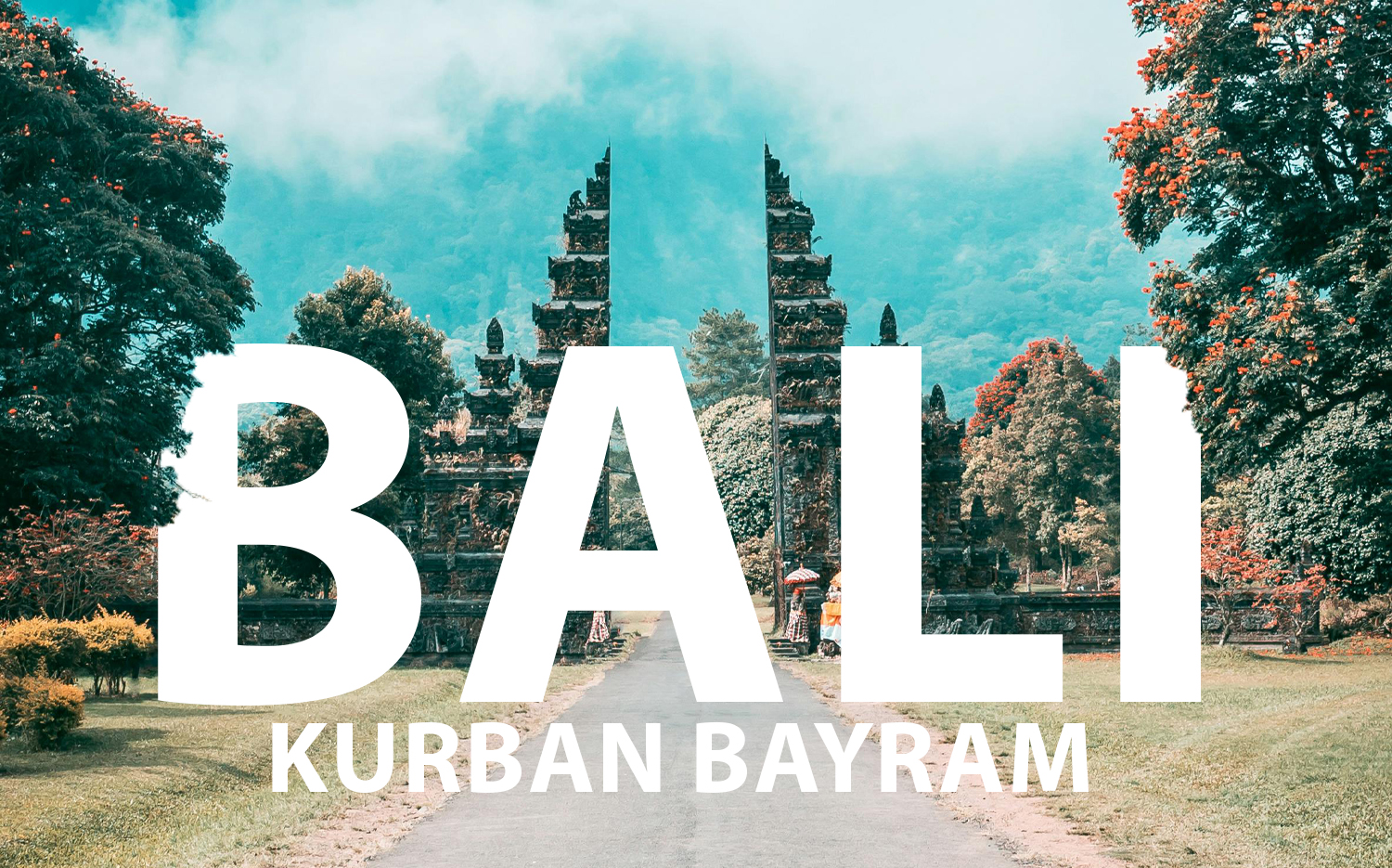 6 GECE MUHTEŞEM BALİ TURU