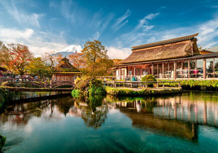 Japonya'nın Gizli Hazineleri Turu 9 gece