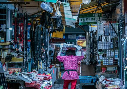 Japonya & Güney Kore Turu (İcn-Nrt) 10 Gece